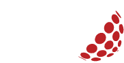 logo not found